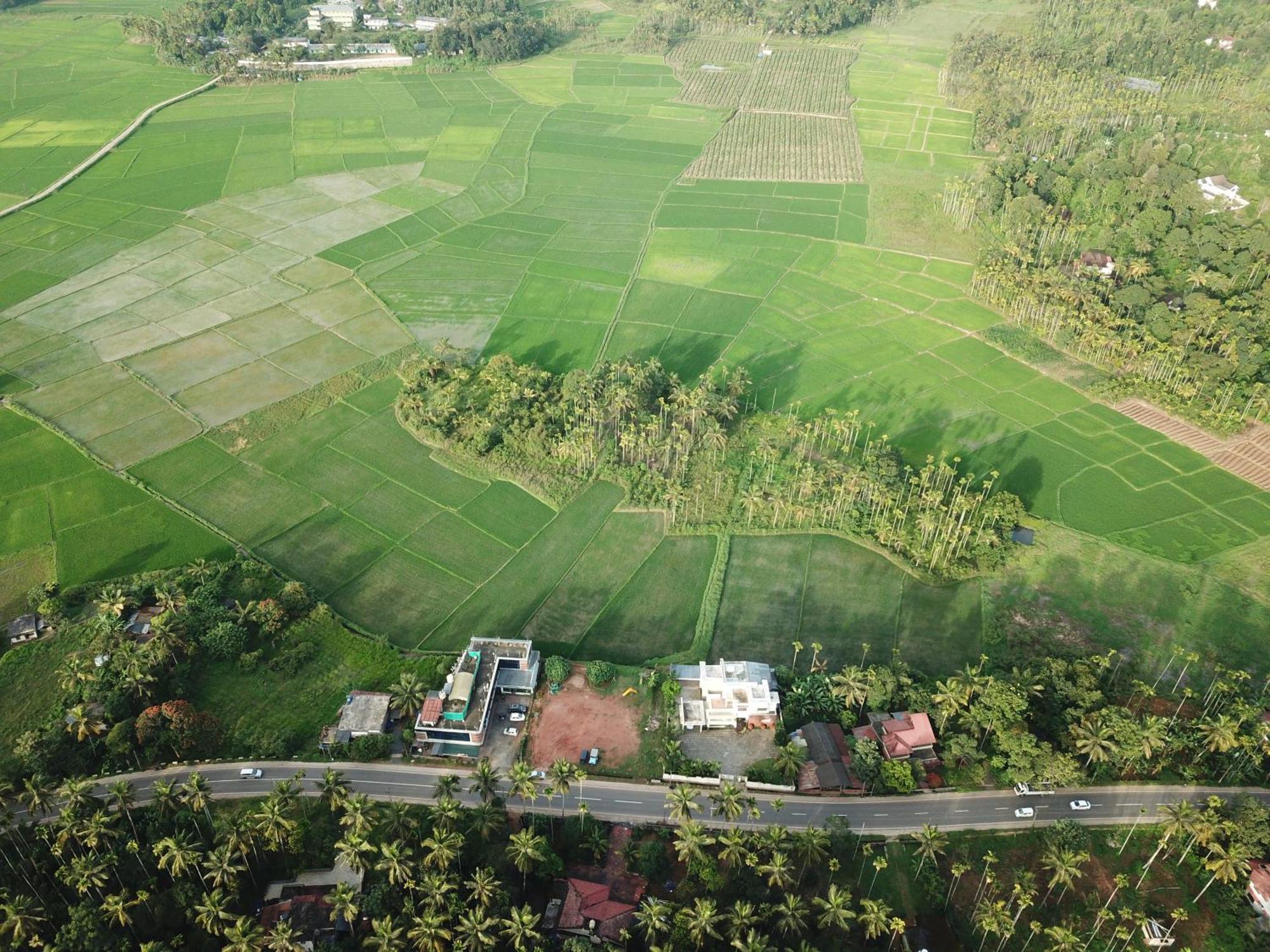 Paddyfield Inn Манантавади Экстерьер фото
