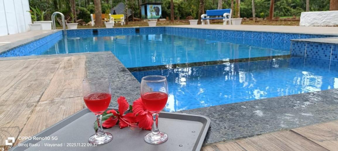 Paddyfield Inn Манантавади Экстерьер фото