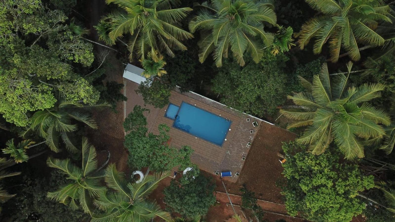 Paddyfield Inn Манантавади Экстерьер фото