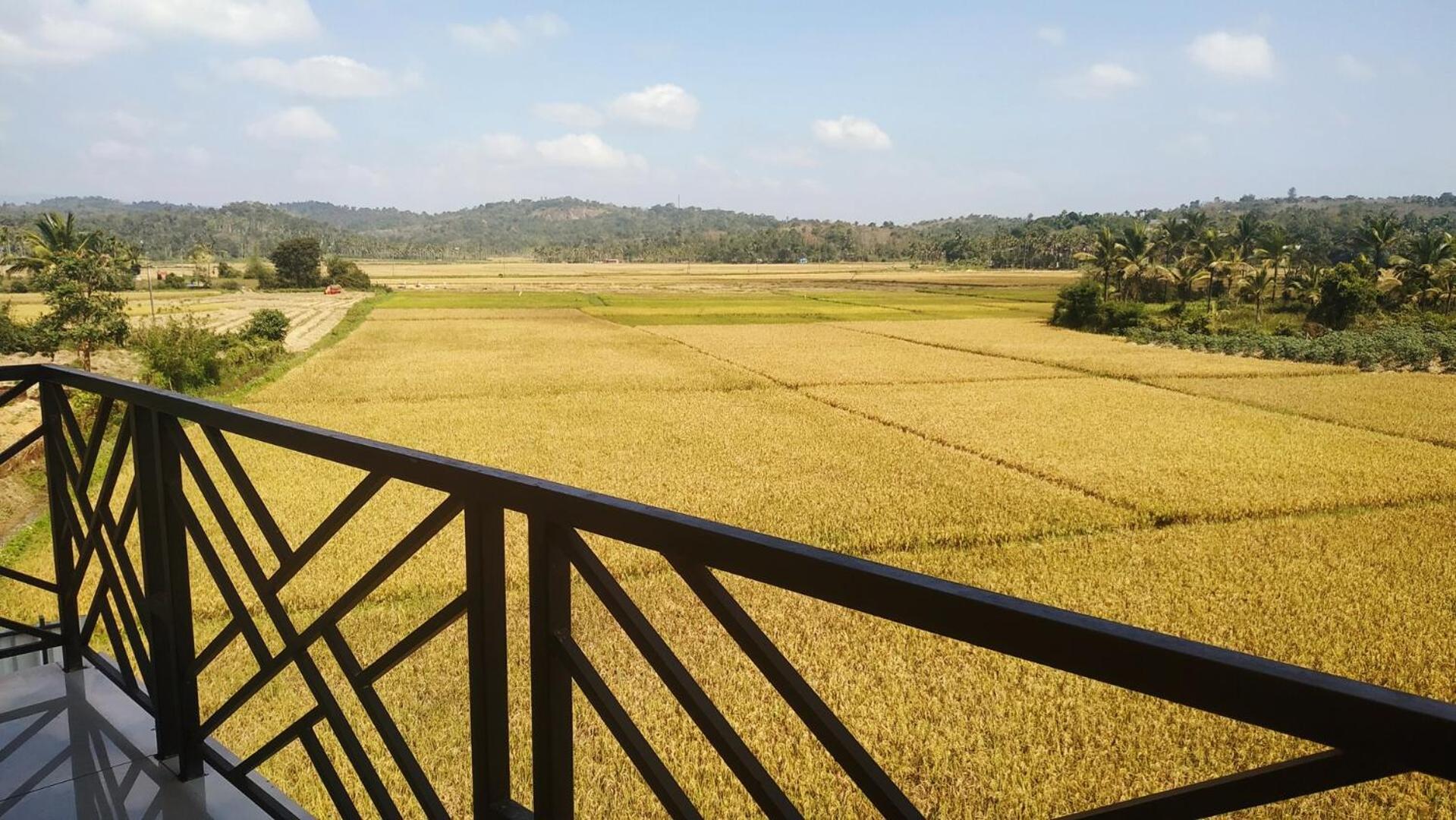Paddyfield Inn Манантавади Экстерьер фото