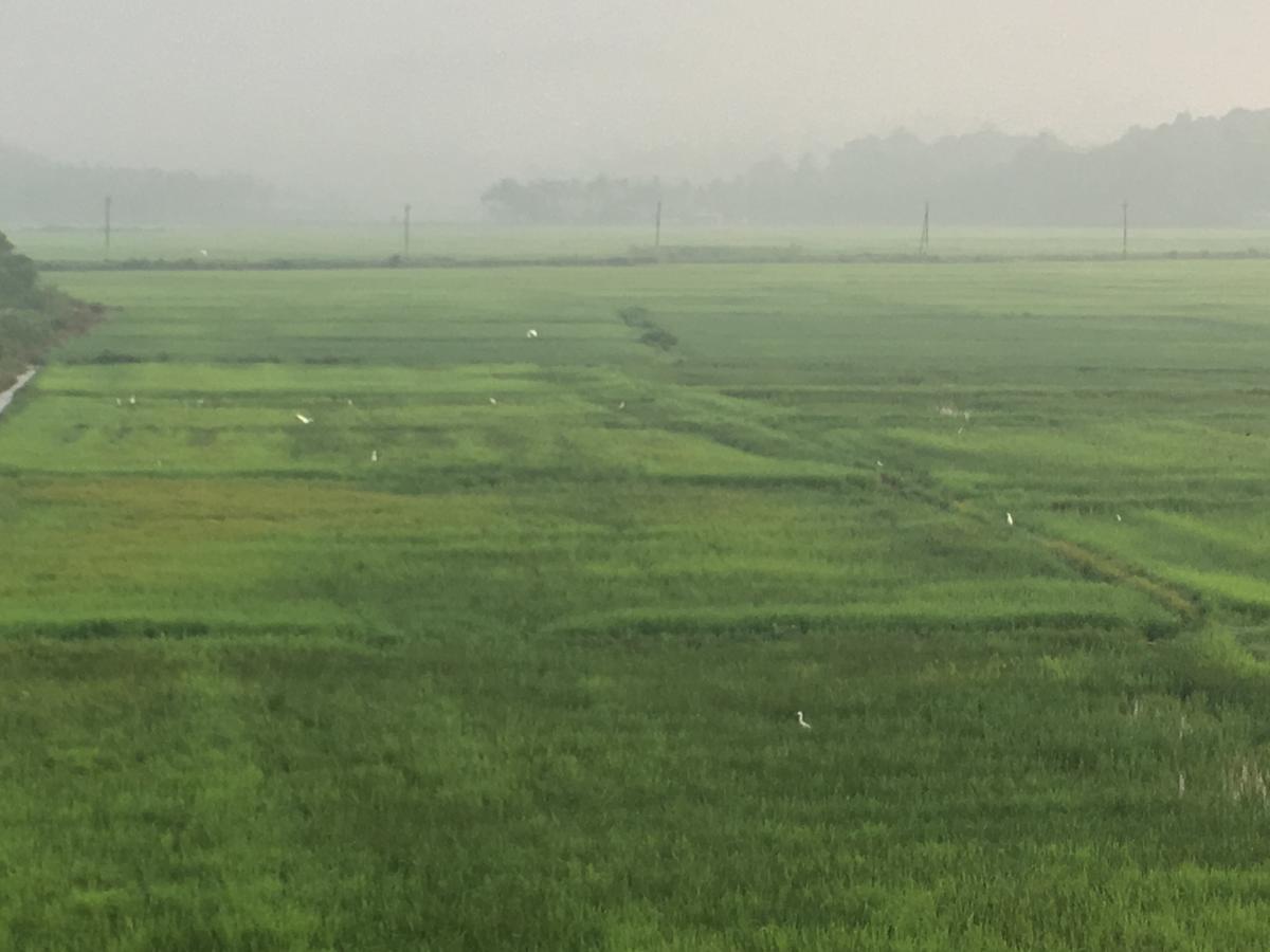 Paddyfield Inn Манантавади Экстерьер фото